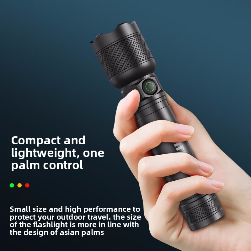 2025 NEW Philips SFL2188 LED A - đánh giá và giá Outdoor Power Usb